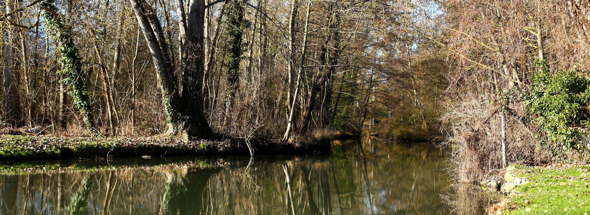 Gestion des déchets